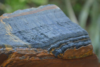 Natural Sliced Tigers Eye Specimen x 1 From Prieska, South Africa - Toprock Gemstones and Minerals 