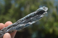 Natural Medium Sized Blue Kyanite with Black Mica Crystals x Sold per 1 Kg -  From Karoi, Zimbabwe - TopRock