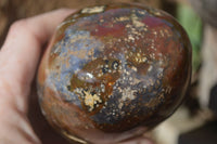 Polished Ocean Jasper Standing Free Forms  x 3 From Marovato, Madagascar