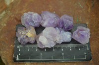 Natural Mini Flower Amethyst Crystals  x 148 From Madagascar - Toprock Gemstones and Minerals 