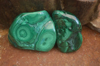 Polished Flower Banded Malachite Free Forms  x 12 From Congo - Toprock Gemstones and Minerals 