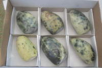 Polished Leopard Stone Standing Free Forms  x 6 From Zimbabwe - Toprock Gemstones and Minerals 