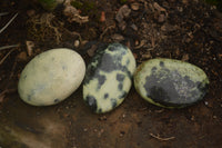 Polished Spotted Leopard Stone Gallets  x 12 From Zimbabwe - TopRock