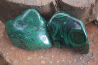 Polished Flower Malachite Free Forms  x 12 From Congo