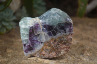 Polished Watermelon Fluorite Slices  x 6 From Uis, Namibia