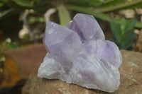 Natural Jacaranda Amethyst Clusters x 2 From Mumbwa, Zambia - TopRock