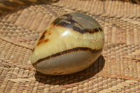 Polished Septaria Dragon's Eggs (Calcite & Aragonite) x 3 From Mahajanga, Madagascar - TopRock