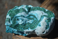 Natural Blue Malacholla (Malachite & Chrysocolla) Specimens  x 2 From Kulukuluku, Congo - Toprock Gemstones and Minerals 