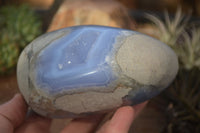 Polished  Blue Lace Agate Standing Free Form  x 1 From Nsanje, Malawi