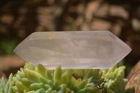 Polished Double Terminated Pink Rose Quartz Points  x 4 From Ambatondrazaka, Madagascar - TopRock