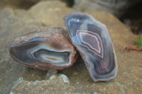 Polished Banded River Agate Nodules  x 6 From Sashe River, Zimbabwe - Toprock Gemstones and Minerals 