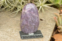 Polished Purple Lepidolite Standing Free Forms  x 3 From Madagascar - TopRock