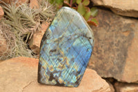 Polished Labradorite Standing Free Form With A Full Face Flash x 1 From Tulear, Madagascar - TopRock