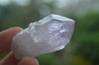 Natural Single Zambian Jacaranda Amethyst Points - Sold per 1.6 kg (24 points per tray) - From Mumbwa, Zambia - TopRock