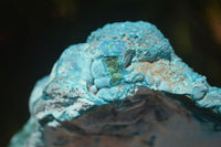 Natural Blue Chrysocolla On Silky Malachite Matrix Specimen  x 1 From Kulukuluku, Congo - Toprock Gemstones and Minerals 