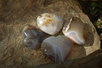 Polished Agate Gemstone Hearts x 4 From Madagascar