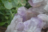 Natural Jacaranda Amethyst Cluster x 1 From Mumbwa, Zambia - TopRock