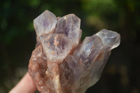 Natural Sugar Amethyst Clusters  x 6 From Zambia - Toprock Gemstones and Minerals 