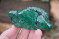 Polished Flower Malachite Free Forms  x 12 From Congo