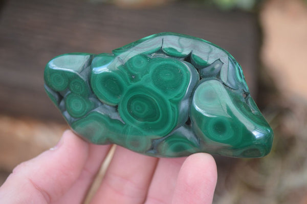 Polished Flower Malachite Free Forms  x 12 From Congo