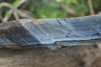 Natural Sliced Tigers Eye Specimen x 1 From Prieska, South Africa - Toprock Gemstones and Minerals 