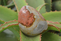 Polished Polychrome Jasper Standing Free Forms  x 6 From Madagascar