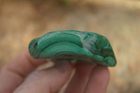 Polished Flower Banded Malachite Free Forms  x 12 From Congo - Toprock Gemstones and Minerals 