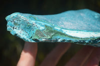 Natural Blue Chrysocolla On Silky Malachite Matrix Specimen  x 1 From Kulukuluku, Congo - Toprock Gemstones and Minerals 