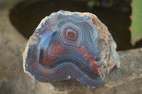 Polished Banded River Agate Nodules  x 6 From Sashe River, Zimbabwe - Toprock Gemstones and Minerals 