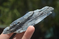 Natural Medium Sized Blue Kyanite with Black Mica Crystals x Sold per 1 Kg -  From Karoi, Zimbabwe - TopRock