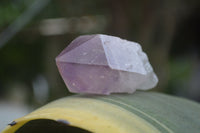 Natural Single Zambian Jacaranda Amethyst Points - Sold per 1.6 kg (24 points per tray) - From Mumbwa, Zambia - TopRock