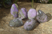 Polished Stichtite & Serpentine Standing Free Forms x 6 From Barberton, South Africa