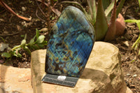 Polished Labradorite Standing Free Form With A Full Face Flash x 1 From Tulear, Madagascar - TopRock