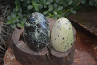 Polished Leopard Stone Standing Free Forms  x 6 From Zimbabwe - Toprock Gemstones and Minerals 