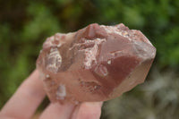 Natural Red Hematoid Quartz Specimens x 12 From Karoi, Zimbabwe - TopRock