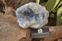 Natural Blue Celestite Geode Specimen  x 1 From Sakoany, Madagascar