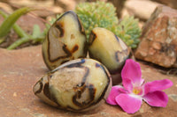 Polished Septaria Dragon's Eggs (Calcite & Aragonite) x 3 From Mahajanga, Madagascar - TopRock