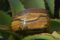 Polished Golden Tigers Eye Free Forms x 4 From Prieska, Northern Cape