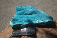 Natural Blue Chrysocolla On Silky Malachite Matrix Specimen  x 1 From Kulukuluku, Congo - Toprock Gemstones and Minerals 