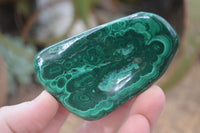 Polished Flower Malachite Free Forms  x 12 From Congo