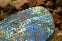 Polished Labradorite Standing Free Form With A Full Face Flash x 1 From Tulear, Madagascar - TopRock