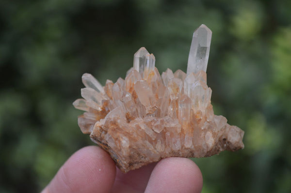 Natural Small Clear Quartz Crystal Specimens  x 35 From Madagascar