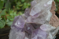 Natural Jacaranda Amethyst Cluster x 1 From Mumbwa, Zambia - TopRock