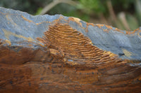 Natural Sliced Tigers Eye Specimen x 1 From Prieska, South Africa - Toprock Gemstones and Minerals 