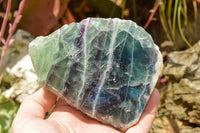 Polished Watermelon Fluorite Standing Slabs  x 2 From Uis, Namibia - TopRock