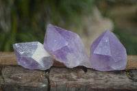 Natural Single Zambian Jacaranda Amethyst Points - Sold per 1.6 kg (24 points per tray) - From Mumbwa, Zambia - TopRock