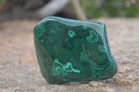 Polished Flower Malachite Free Forms  x 12 From Congo