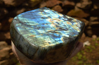 Polished Labradorite Standing Free Form With A Full Face Flash x 1 From Tulear, Madagascar - TopRock