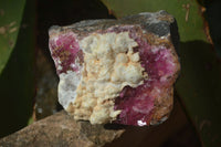 Natural Salrose Cobaltion Dolomite Specimens x 12 From Kakanda, Congo