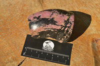 Polished Semi Polished Pink & Black Rhodonite Free Forms  x 5 From Ambindavato, Madagascar - TopRock